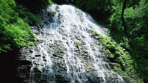 高标准高质量
